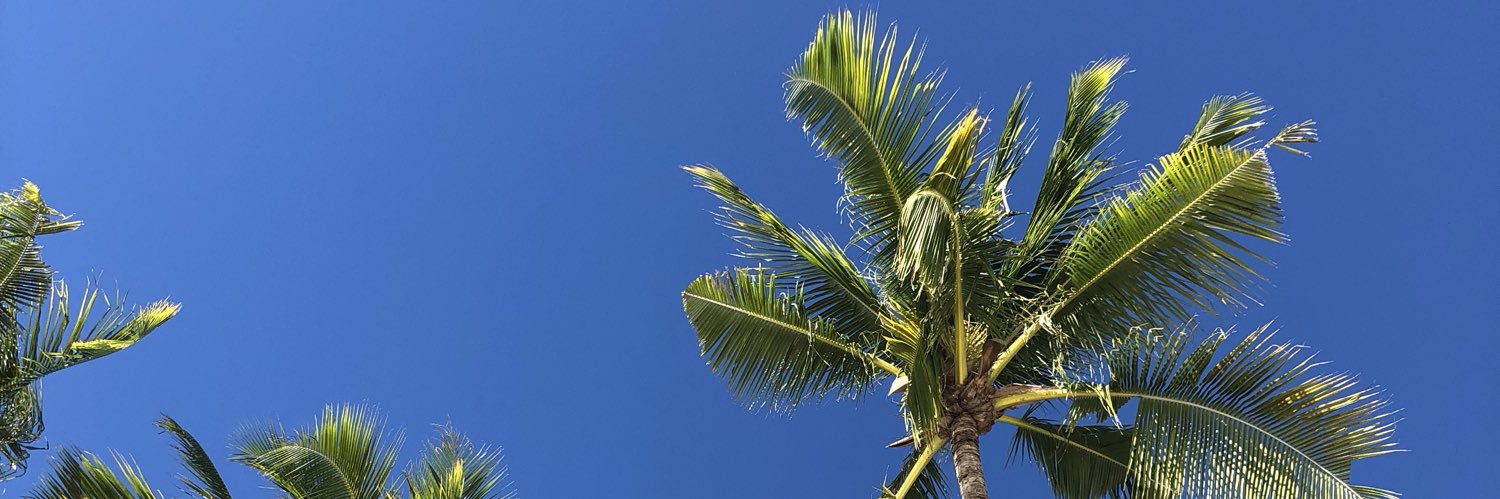 HsuDanielsson's profile banner image