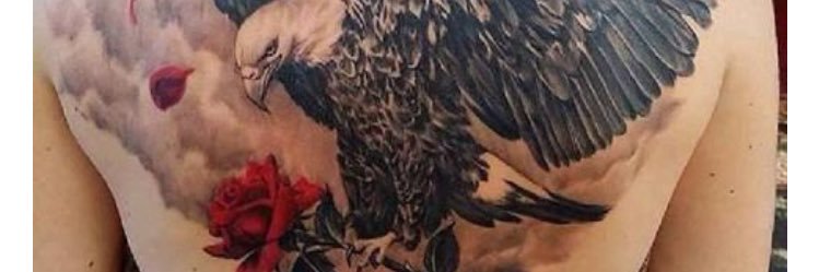 ErdemErol79's profile banner image