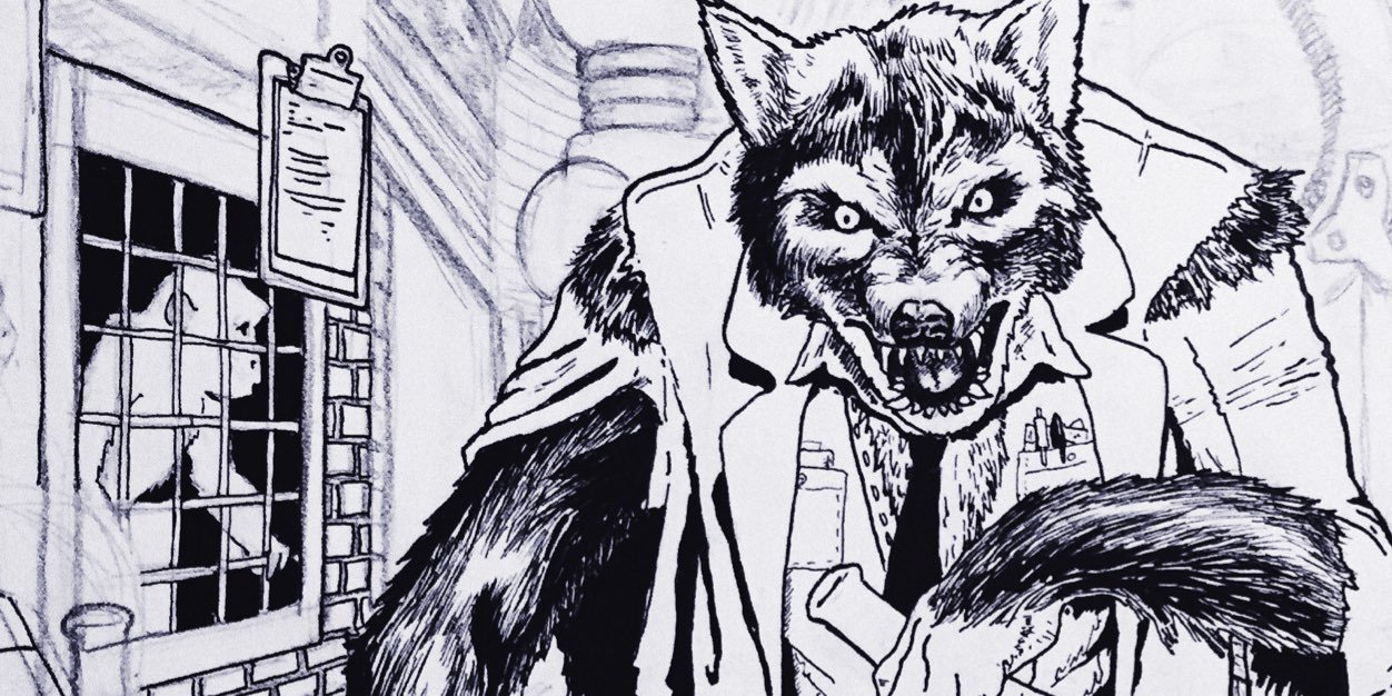 The Wild Optimists banner