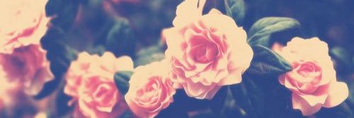 G_Smith18's profile banner image