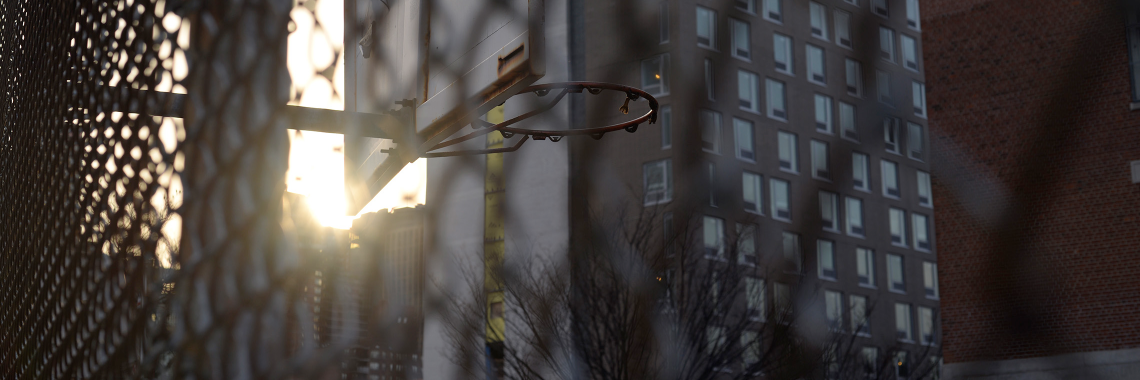 AccidentalTribe's profile banner image
