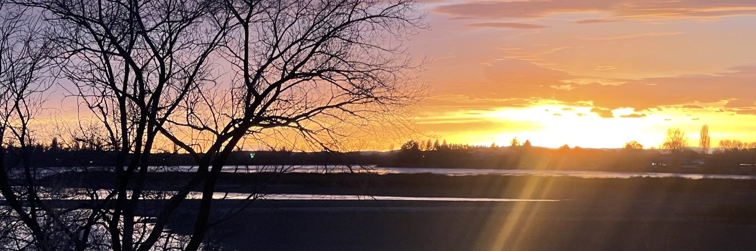 aylinivega's profile banner image
