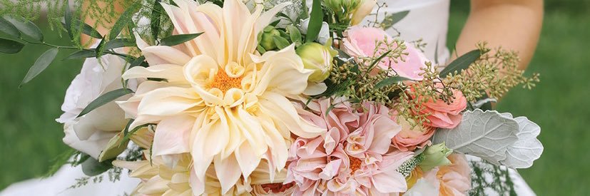 ChristenDarst's profile banner image