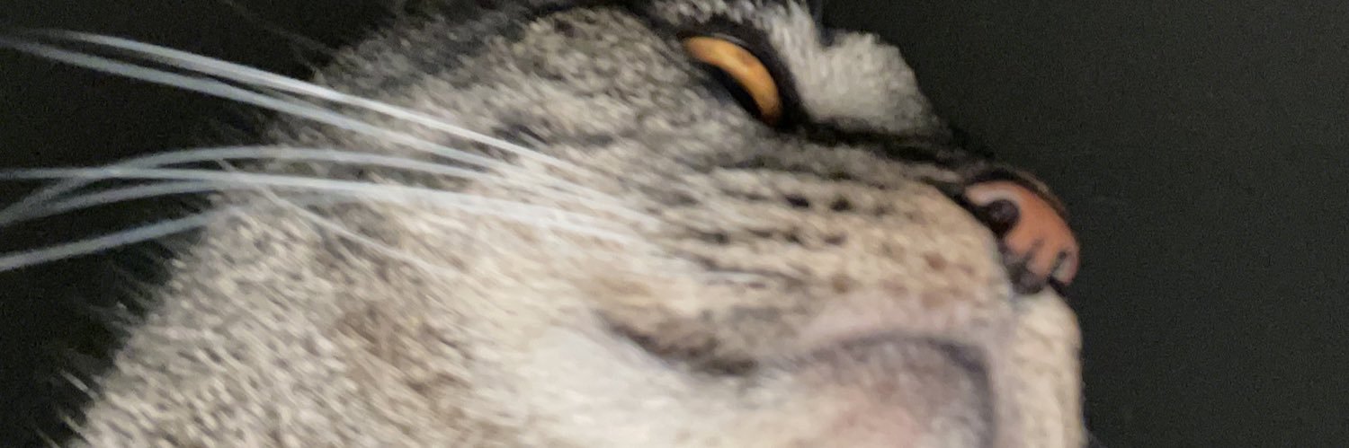 NickGuy97's profile banner image