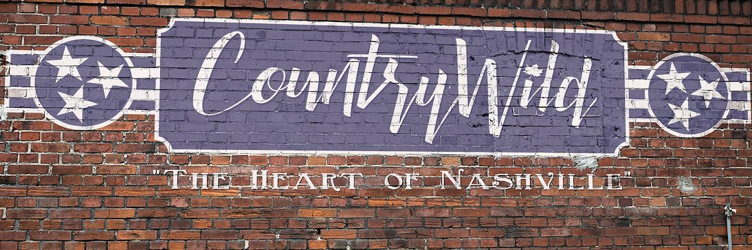 Country Wild banner