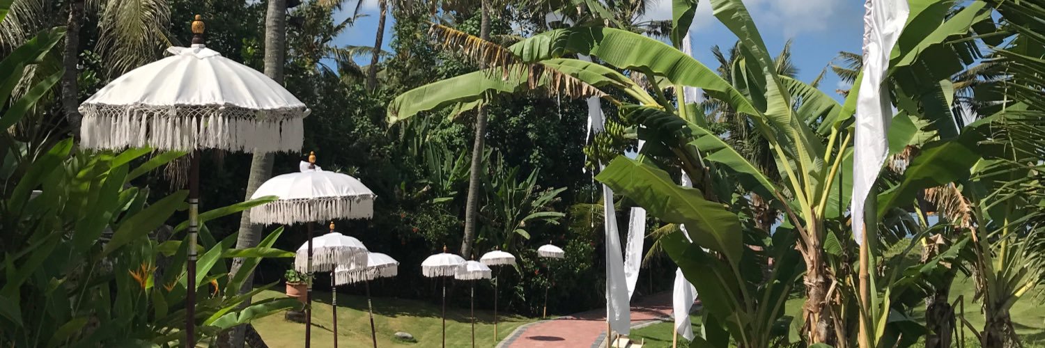butternutcollin's profile banner image