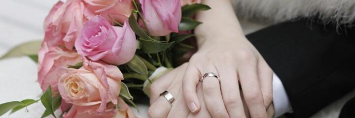 vidia_tartila's profile banner image