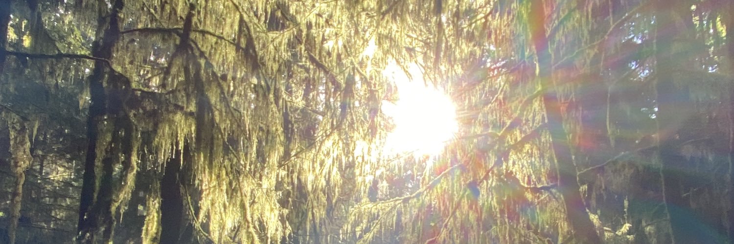 Lucia Stavros banner