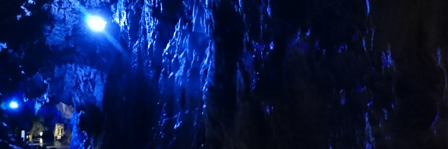 husigineko's profile banner image