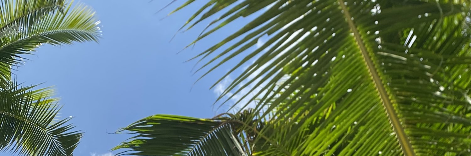 Jcqln_'s profile banner image