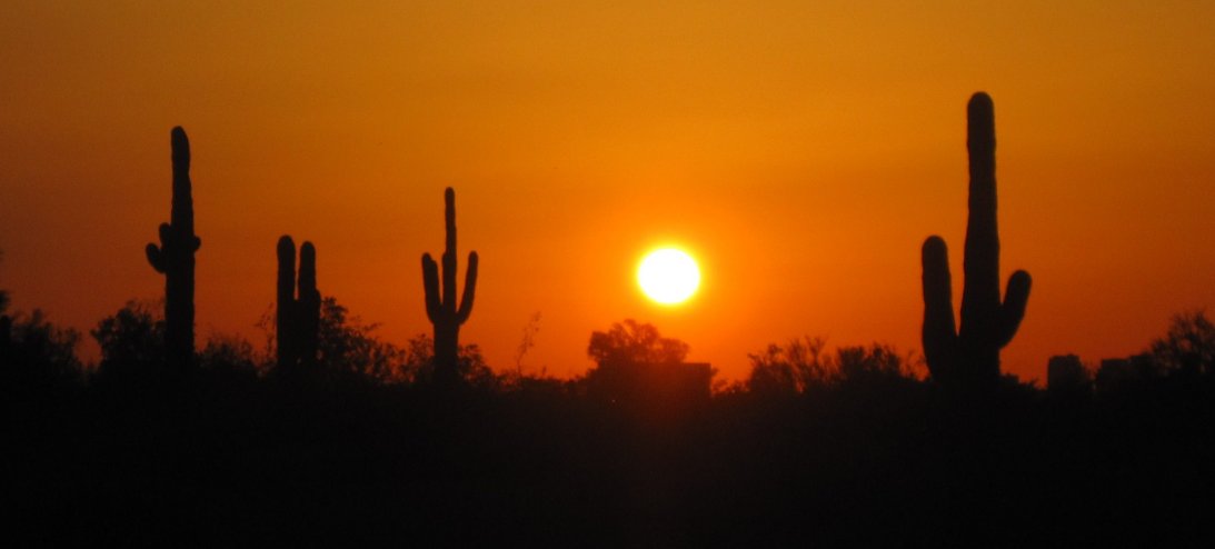 Arizona Maxpreps banner