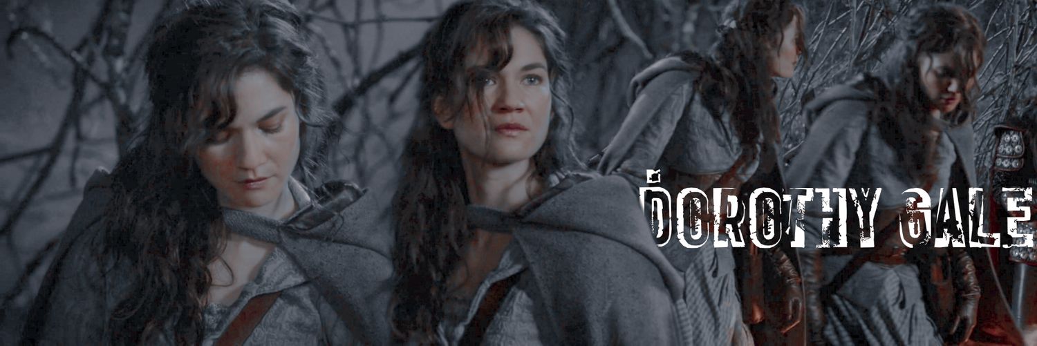 disasterofoz's profile banner image