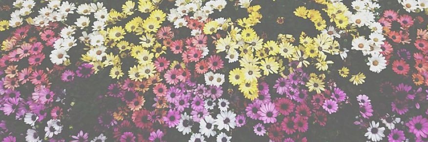 227ua's profile banner image