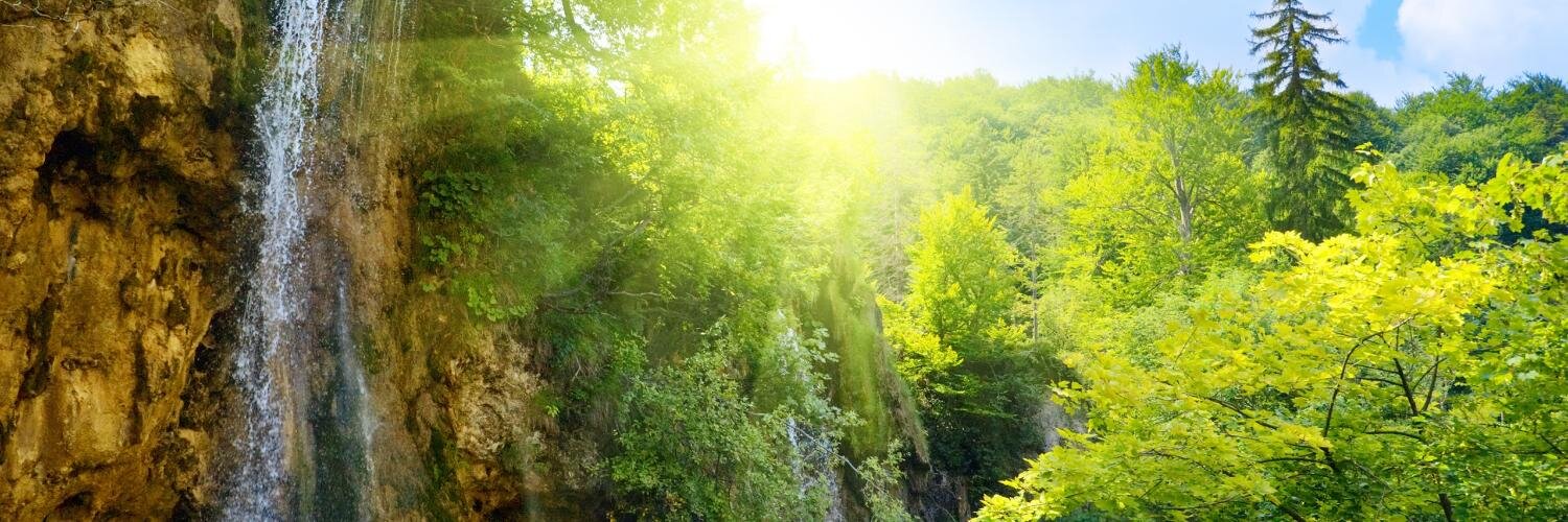 Hasenloewin's profile banner image