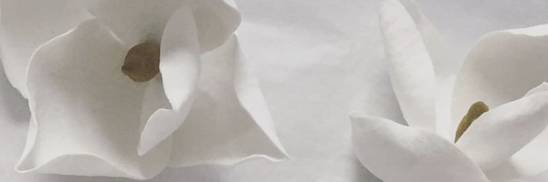 sparkandpepper's profile banner image