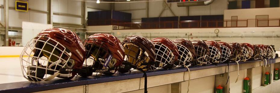 goffstownpuck's profile banner image