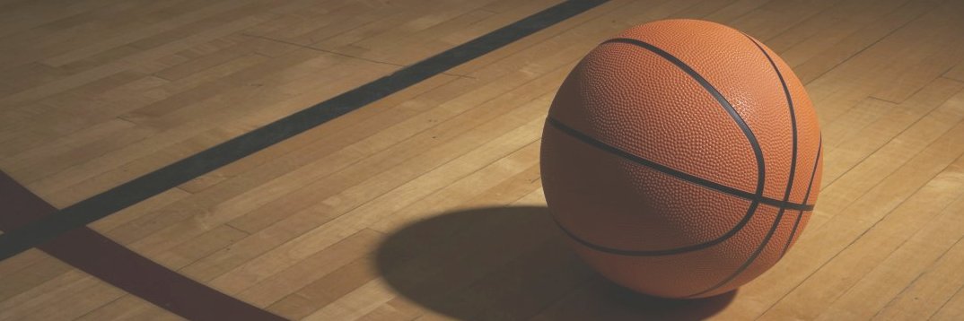 LMS8GirlsBball's profile banner image