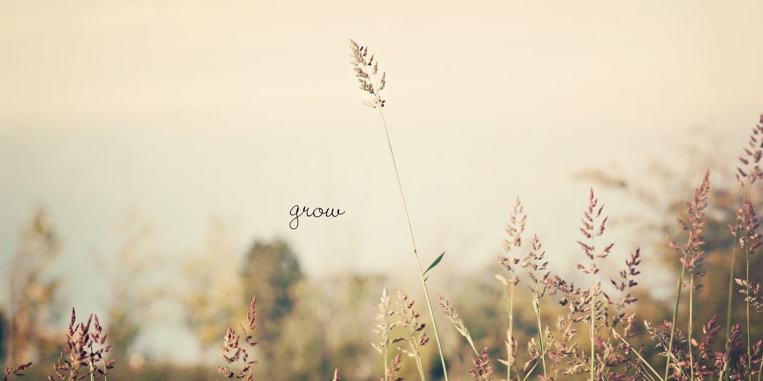 coco_shao's profile banner image