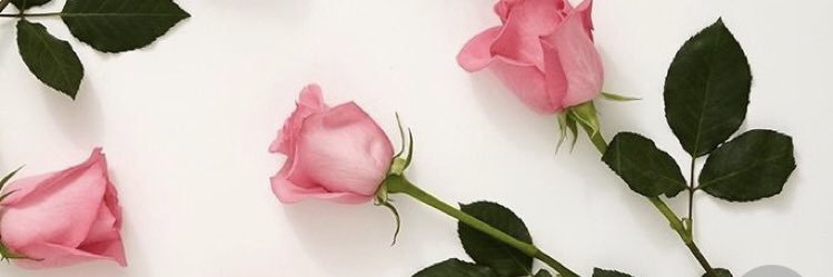 คุมหมีสดใส •ㅅ• banner