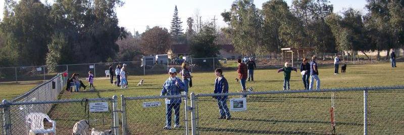 phoenixdogpark's profile banner image