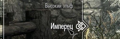 Разномастная свора хрюкающих подсвинков banner