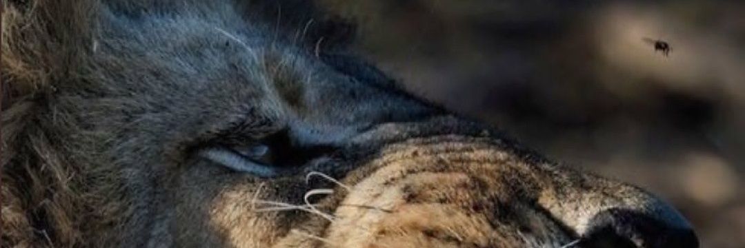 أبو أسامة banner