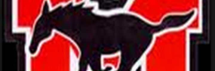 MunsterDraft's profile banner image