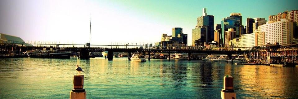 immmaaaaa's profile banner image