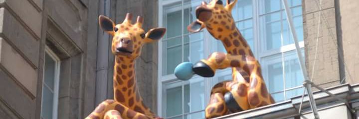 adele_cload's profile banner image