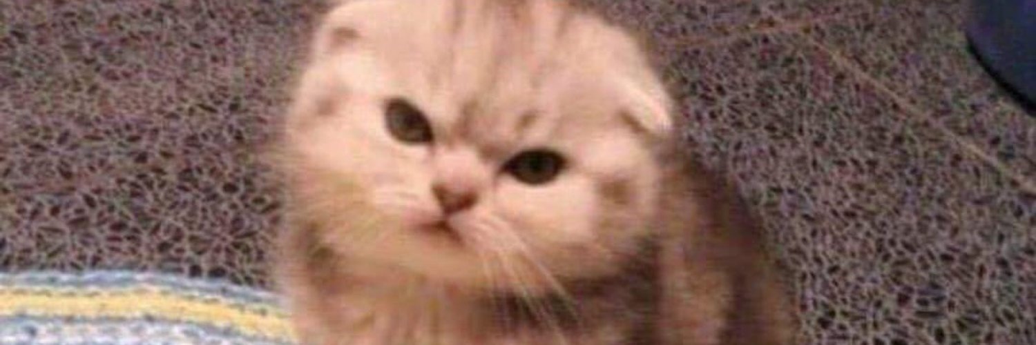 ShrienNasser's profile banner image