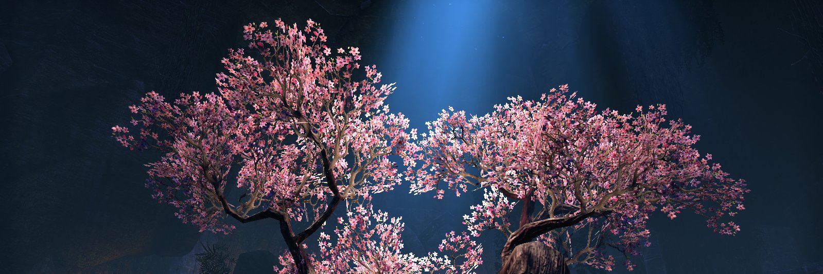 Draekaar's profile banner image