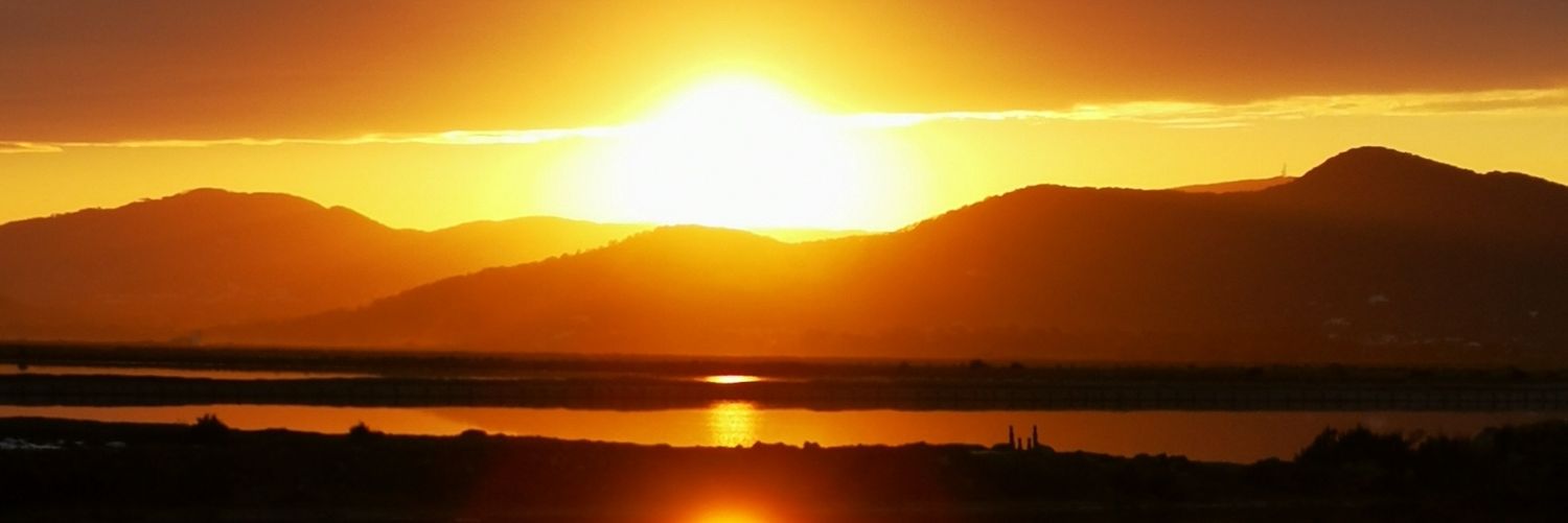 nikow971's profile banner image