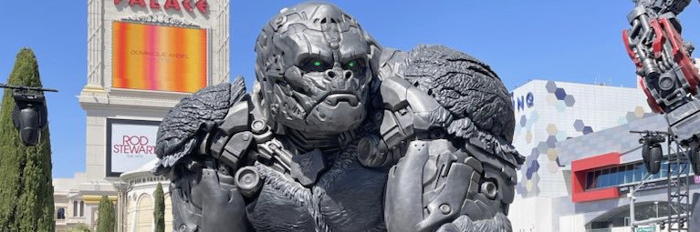 chefmasterd's profile banner image