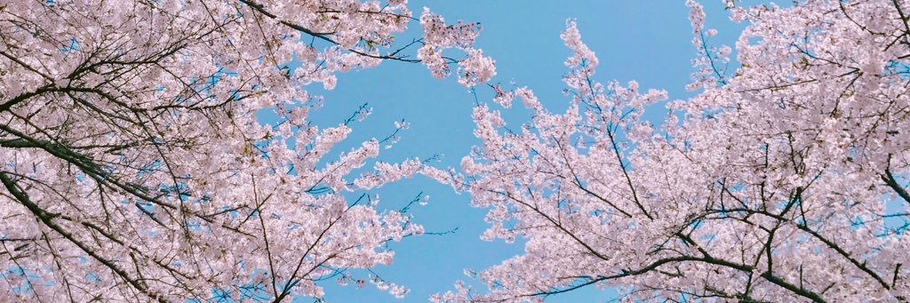 JingTeo's profile banner image