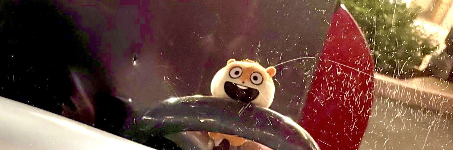 ‎🐈‍⬛🐾 banner