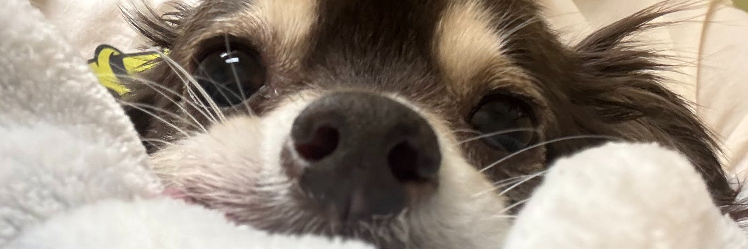 LucinaMurillo0's profile banner image