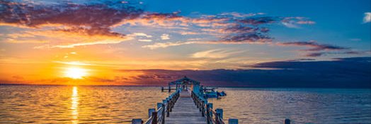 David "Duh" Teague banner