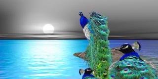 call2amar's profile banner image