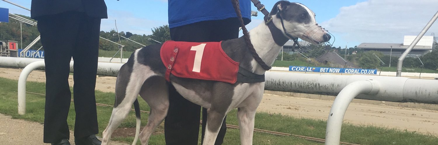 Teddy absolom banner