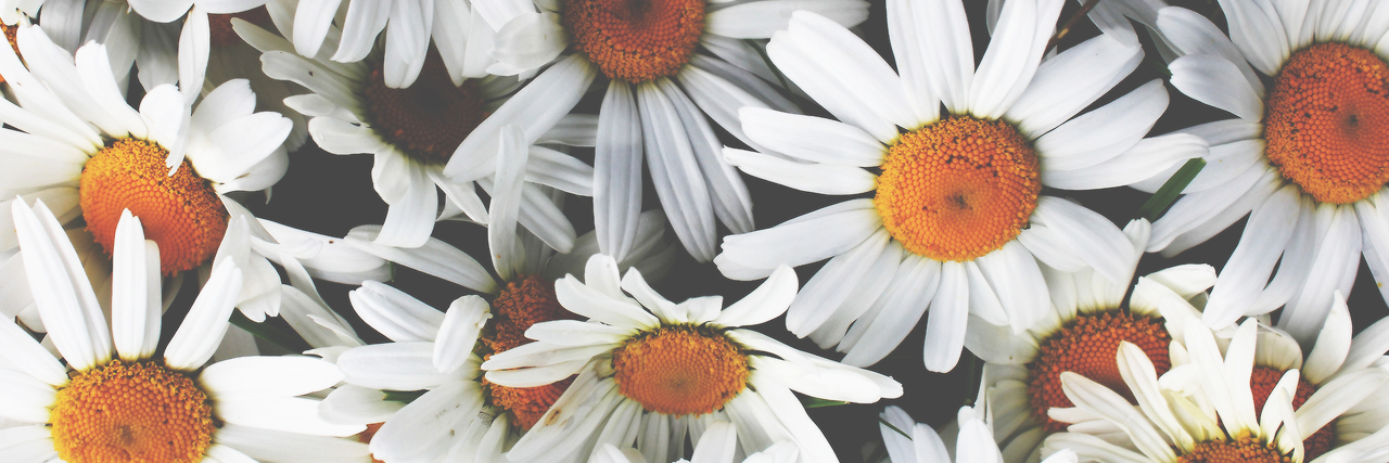 catherine_koo's profile banner image