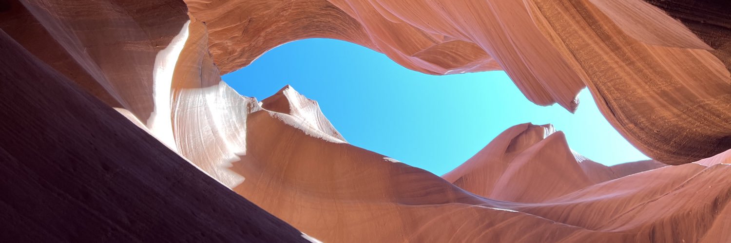 pedersentaz's profile banner image