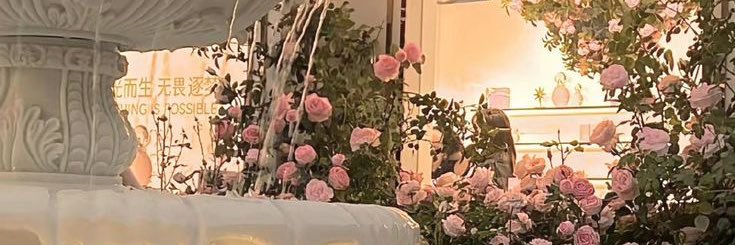 hollyrousee's profile banner image