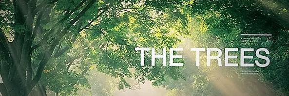TheTreeVikhrol's profile banner image