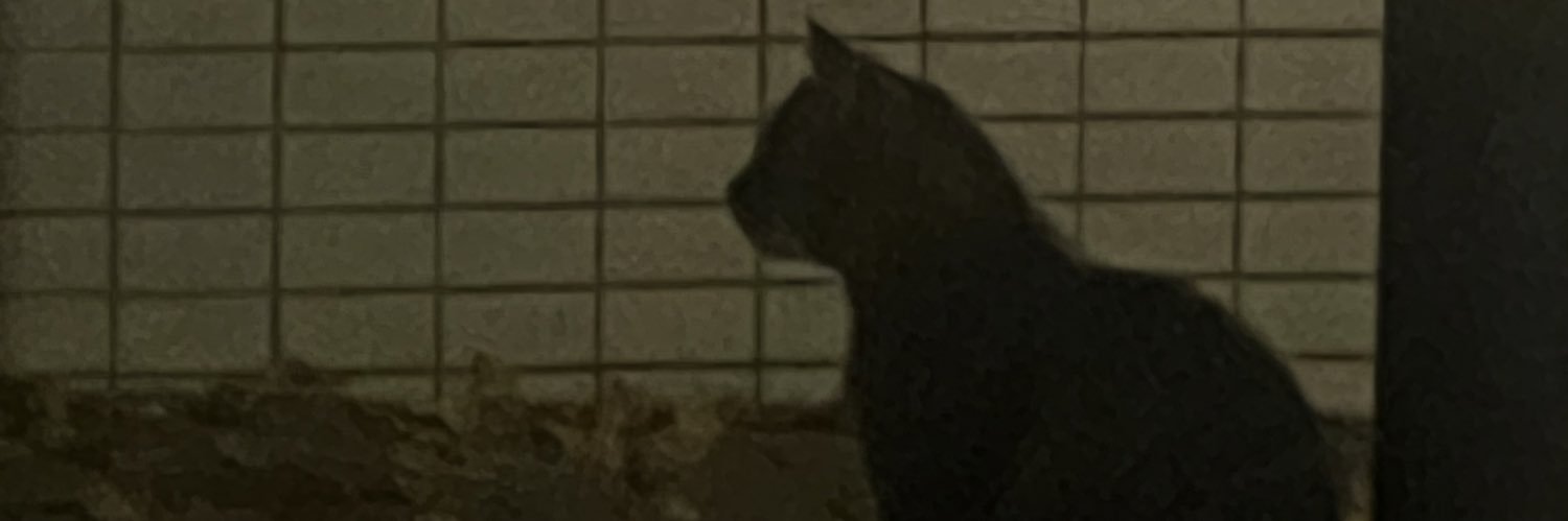 chibitorashiro's profile banner image