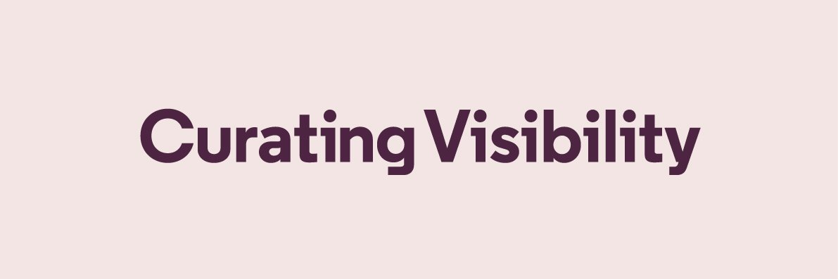 Curating Visibility banner