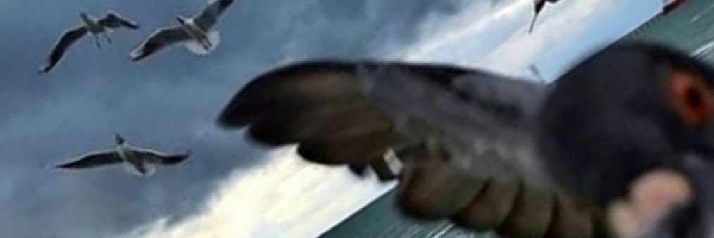 mentemente's profile banner image