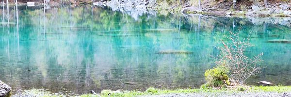 Chrisaiki Profile Banner