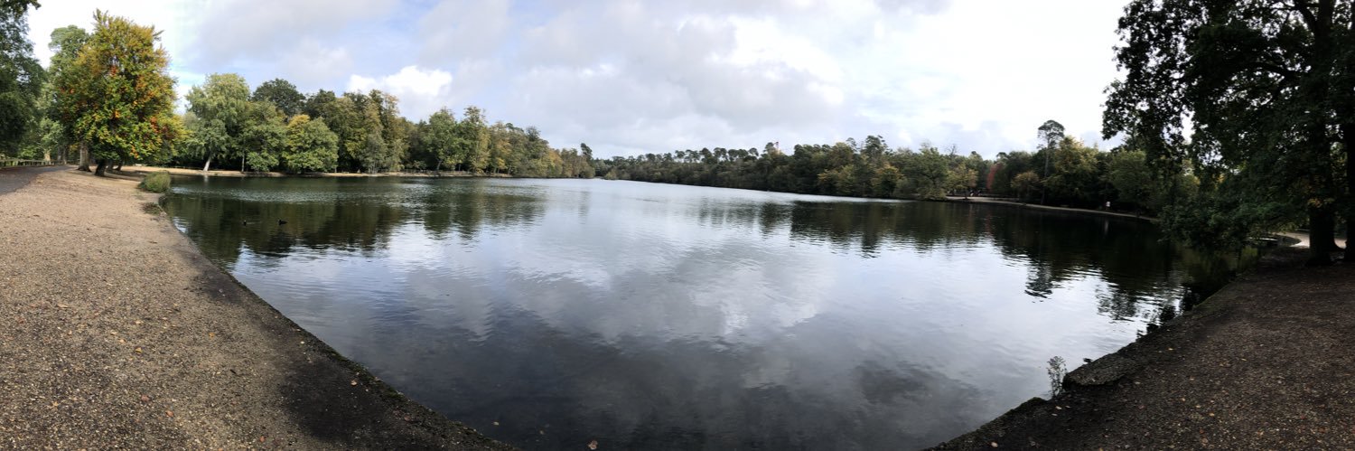 Andrea Fricker banner