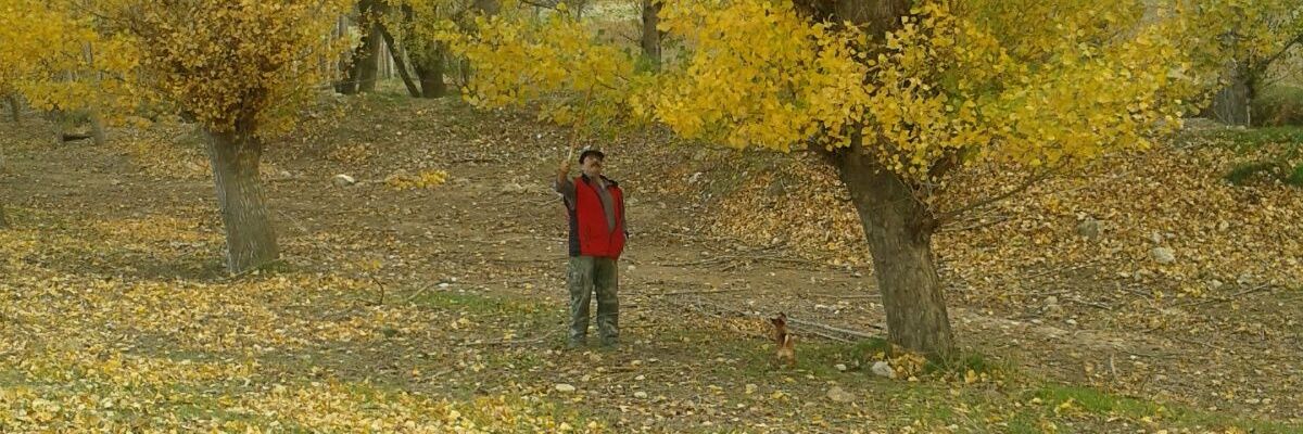 JoseMartinezEsp's profile banner image