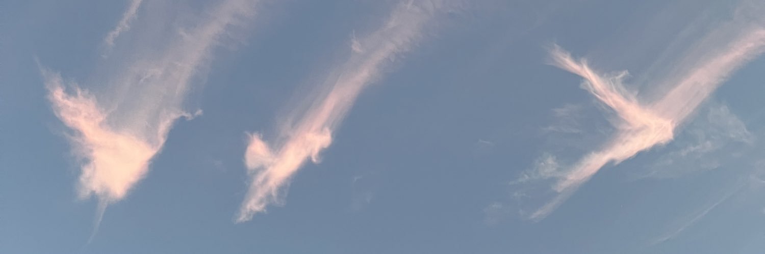 addylah's profile banner image